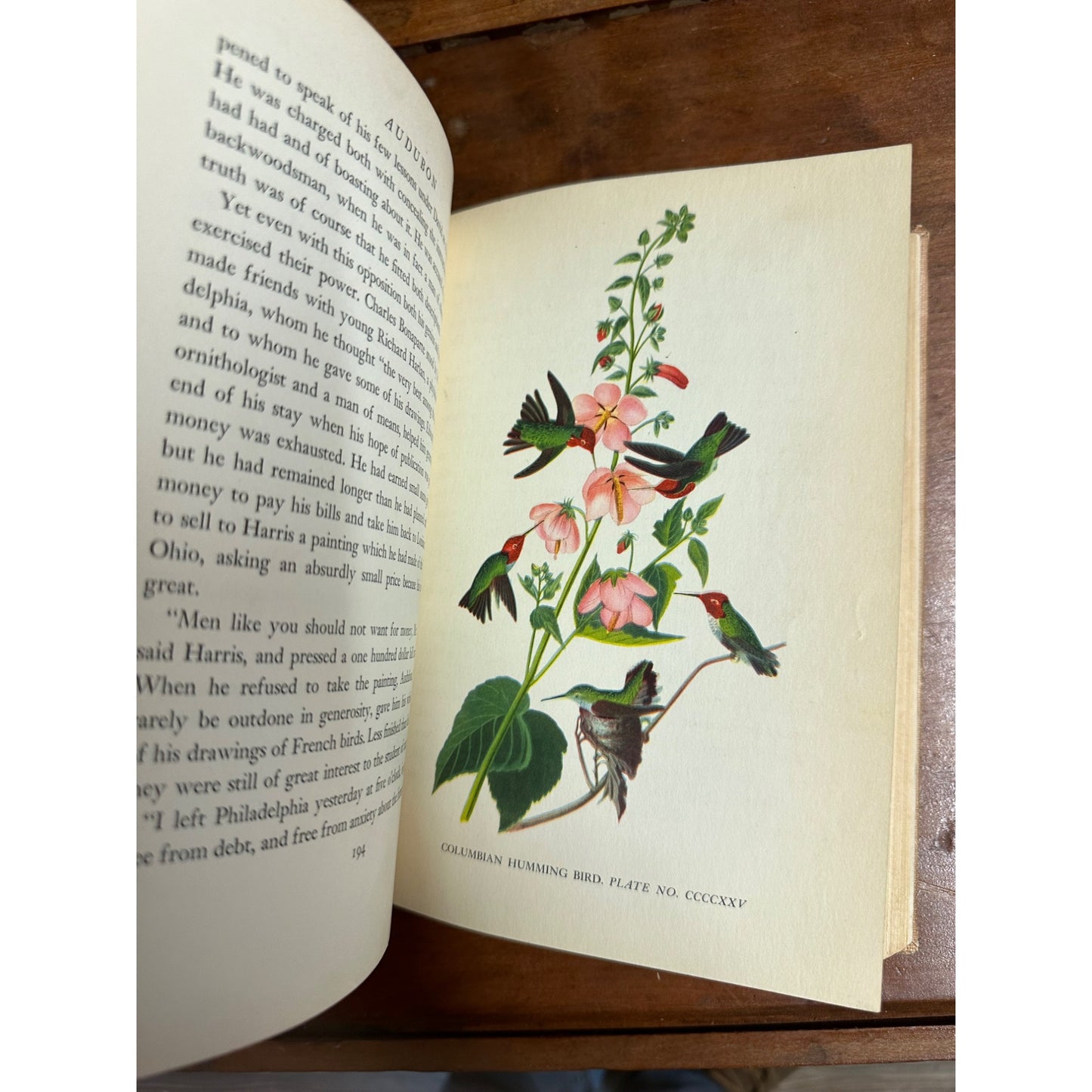 AUDUBON BY CONSTANCE ROURKE-12 COLORED PLATES FROM ORIGINAL AUDUBON PRINTS 1936