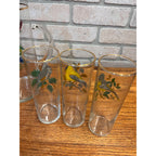 Vintage West Virginia Glass Co. Water Pitcher and Glasses with Song Birds 7pc Set