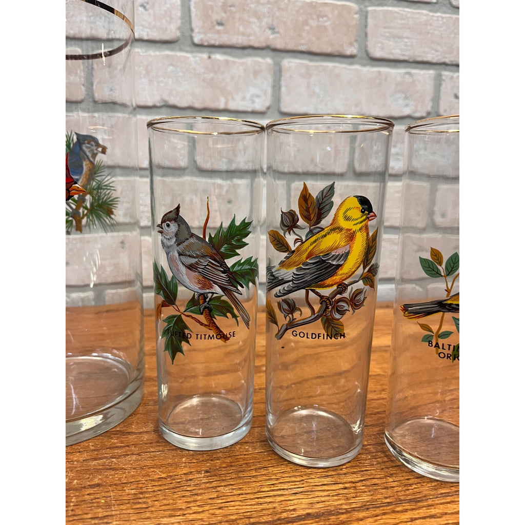 Vintage West Virginia Glass Co. Water Pitcher and Glasses with Song Birds 7pc Set