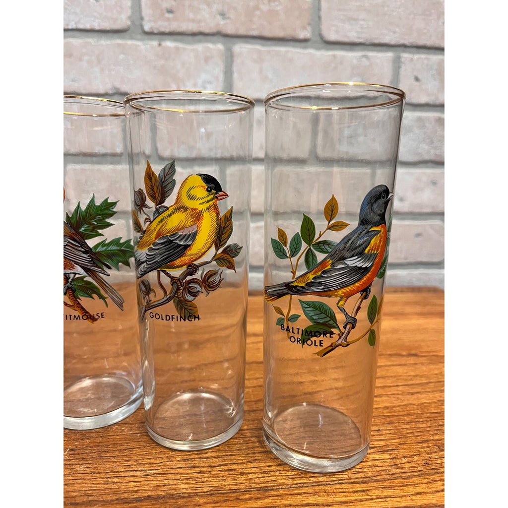 Vintage West Virginia Glass Co. Water Pitcher and Glasses with Song Birds 7pc Set