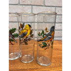 Vintage West Virginia Glass Co. Water Pitcher and Glasses with Song Birds 7pc Set