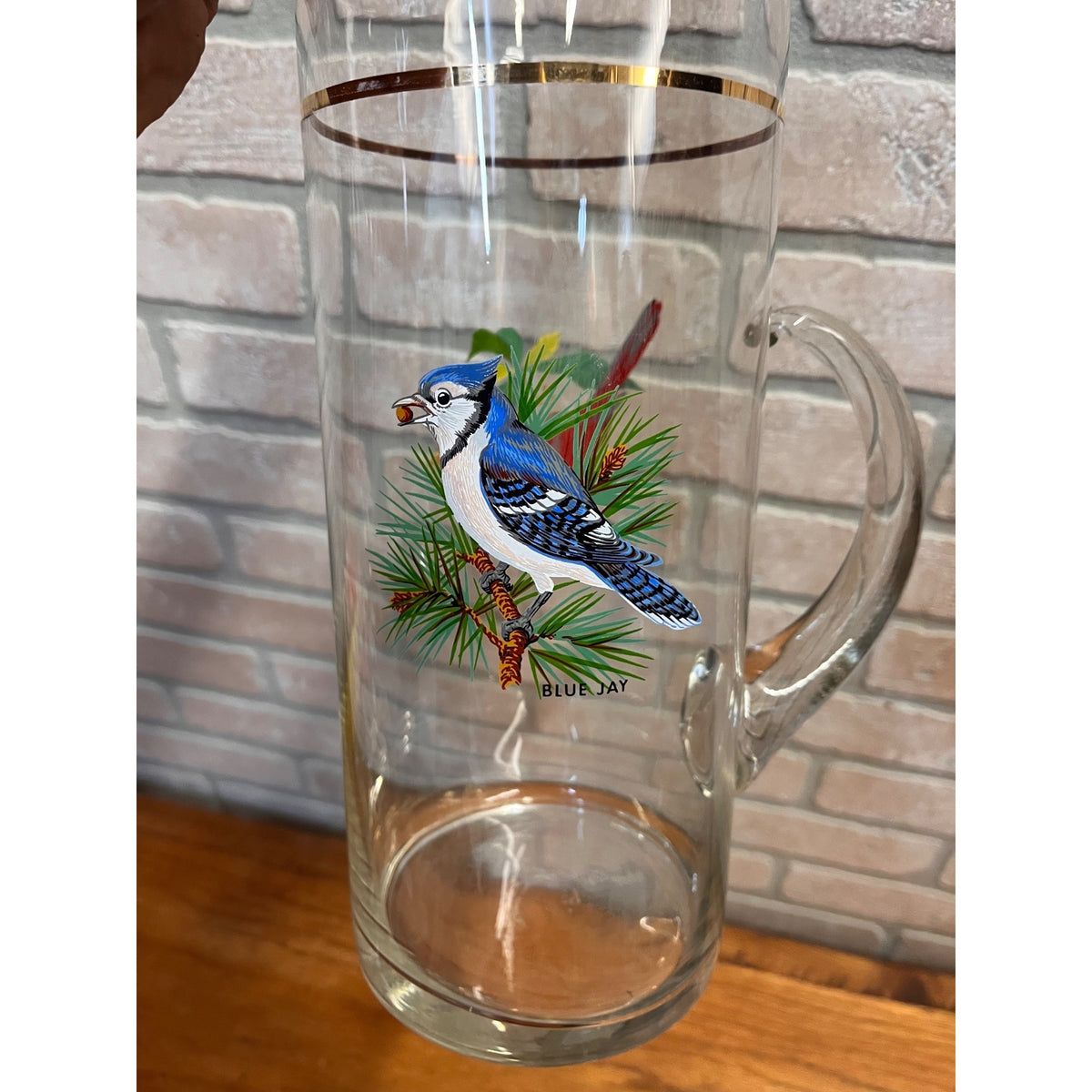 Vintage West Virginia Glass Co. Water Pitcher and Glasses with Song Birds 7pc Set