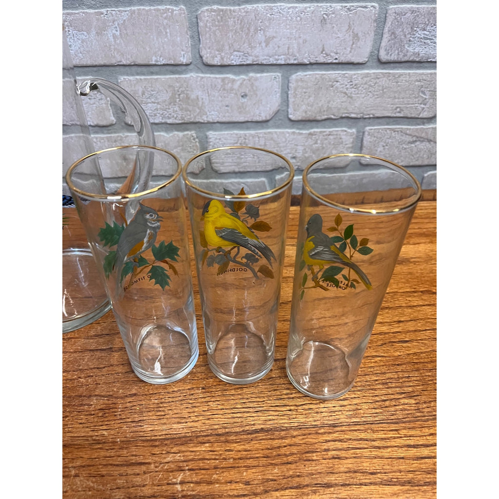 Vintage West Virginia Glass Co. Water Pitcher and Glasses with Song Birds 7pc Set