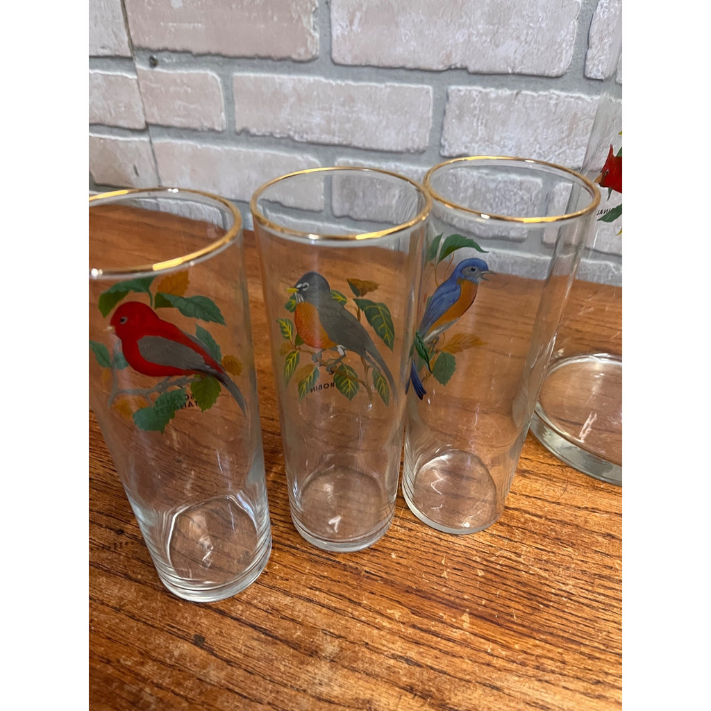 Vintage West Virginia Glass Co. Water Pitcher and Glasses with Song Birds 7pc Set