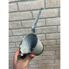 Antique Primitive Grey Graniteware Enamelware Handled Strainer Mesh Screen Farmhouse Kitchen Decor