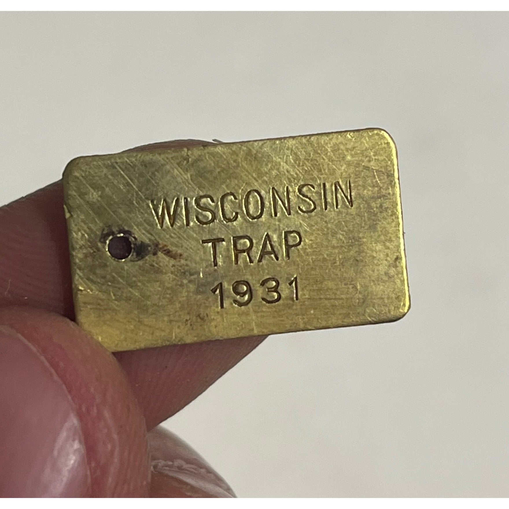 Vintage 1931 Wisconsin Trap Tag Trapping Hunting License