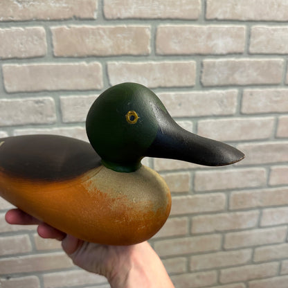 Antique Mason Painted Eye Shovler Duck Decoy Professionally Restored Repainted