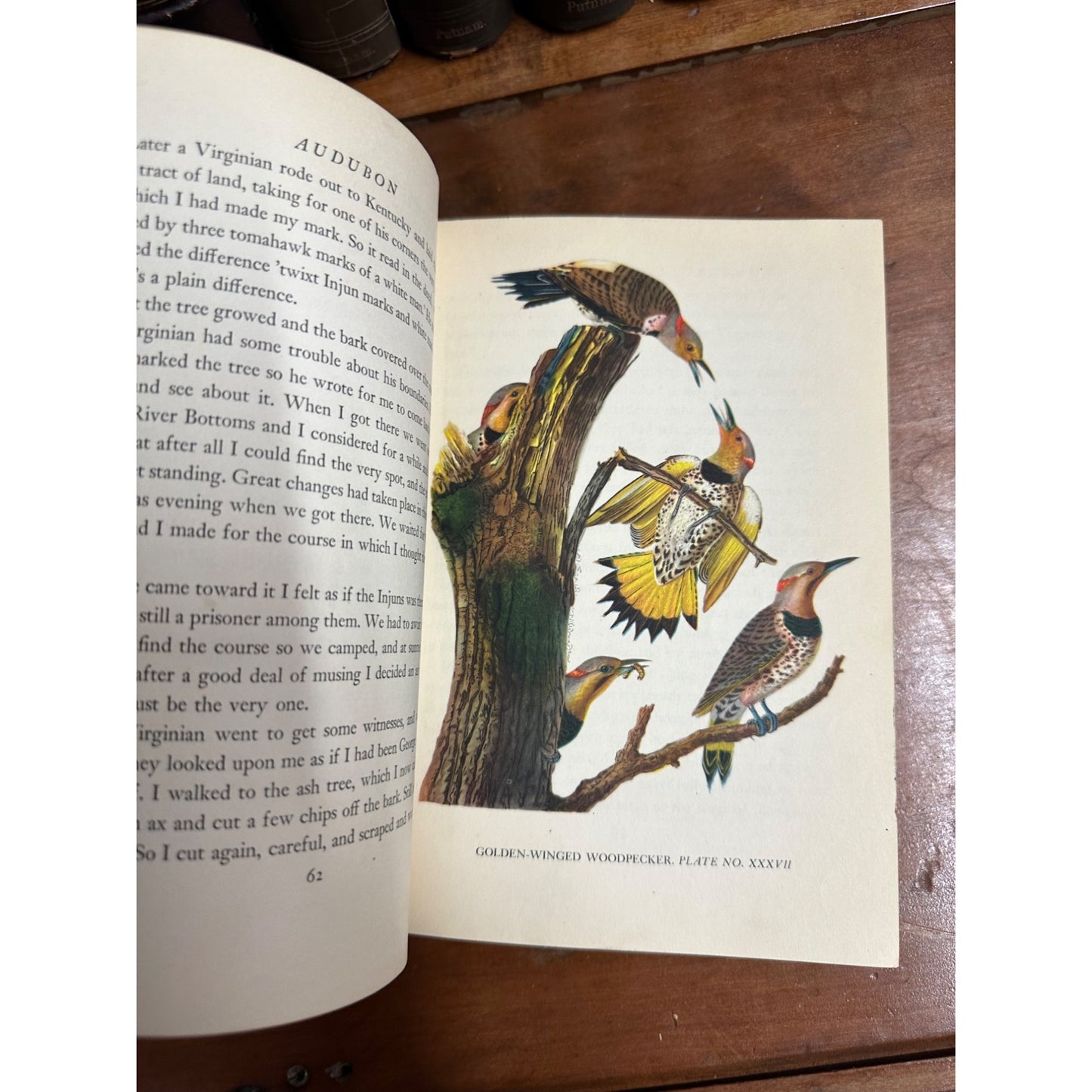 AUDUBON BY CONSTANCE ROURKE-12 COLORED PLATES FROM ORIGINAL AUDUBON PRINTS 1936