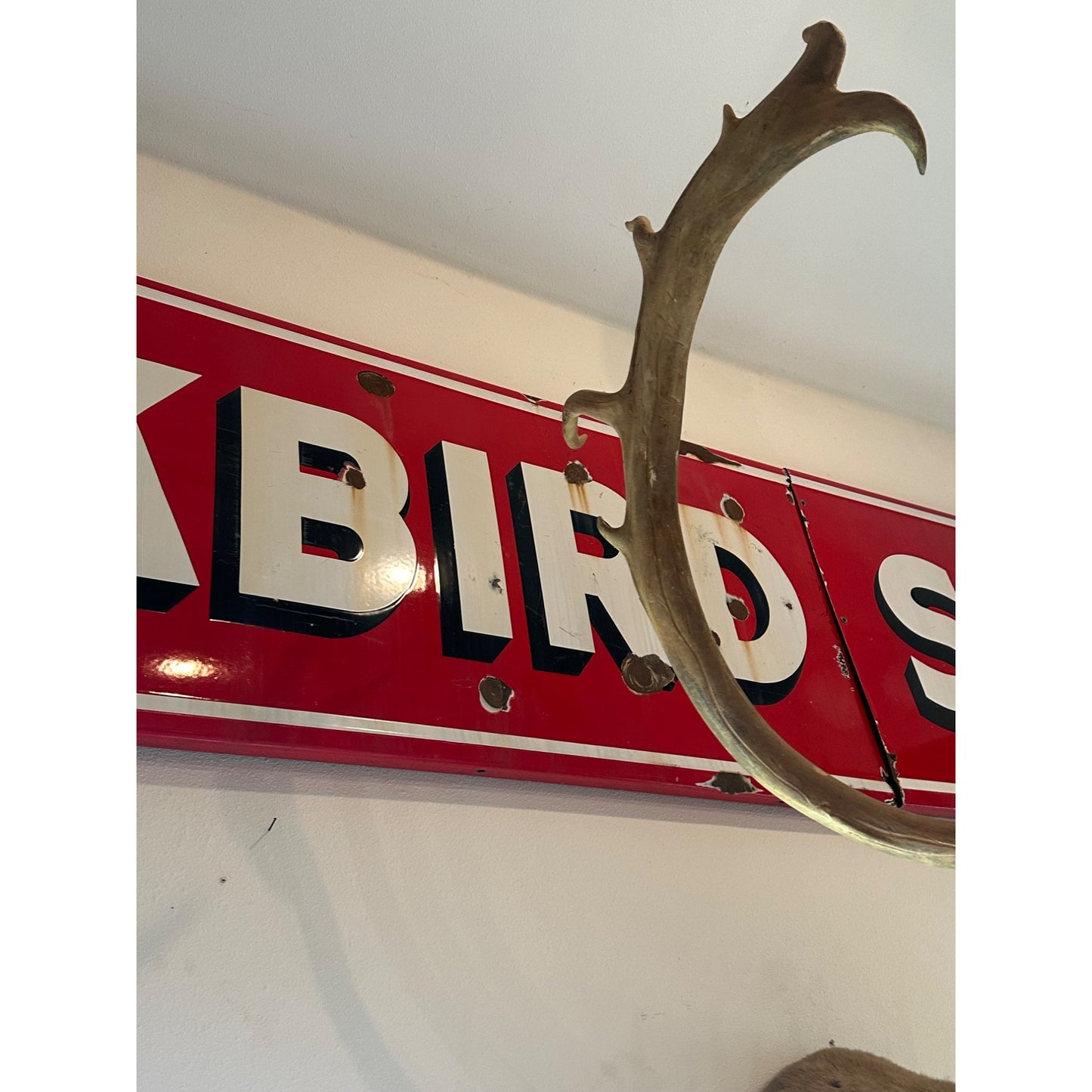 Antique Blackbird Store 16ft Porcelain Advertising Sign Nebraska  HUGE LARGE