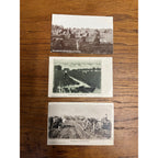 Greeley CO Colorado RPPC Postcards Lot (3) Potato Onion Farming Harvest