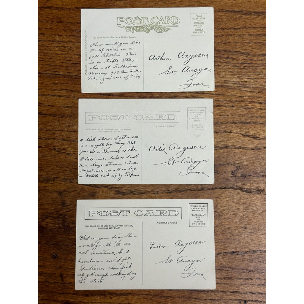 Greeley CO Colorado RPPC Postcards Lot (3) Potato Onion Farming Harvest