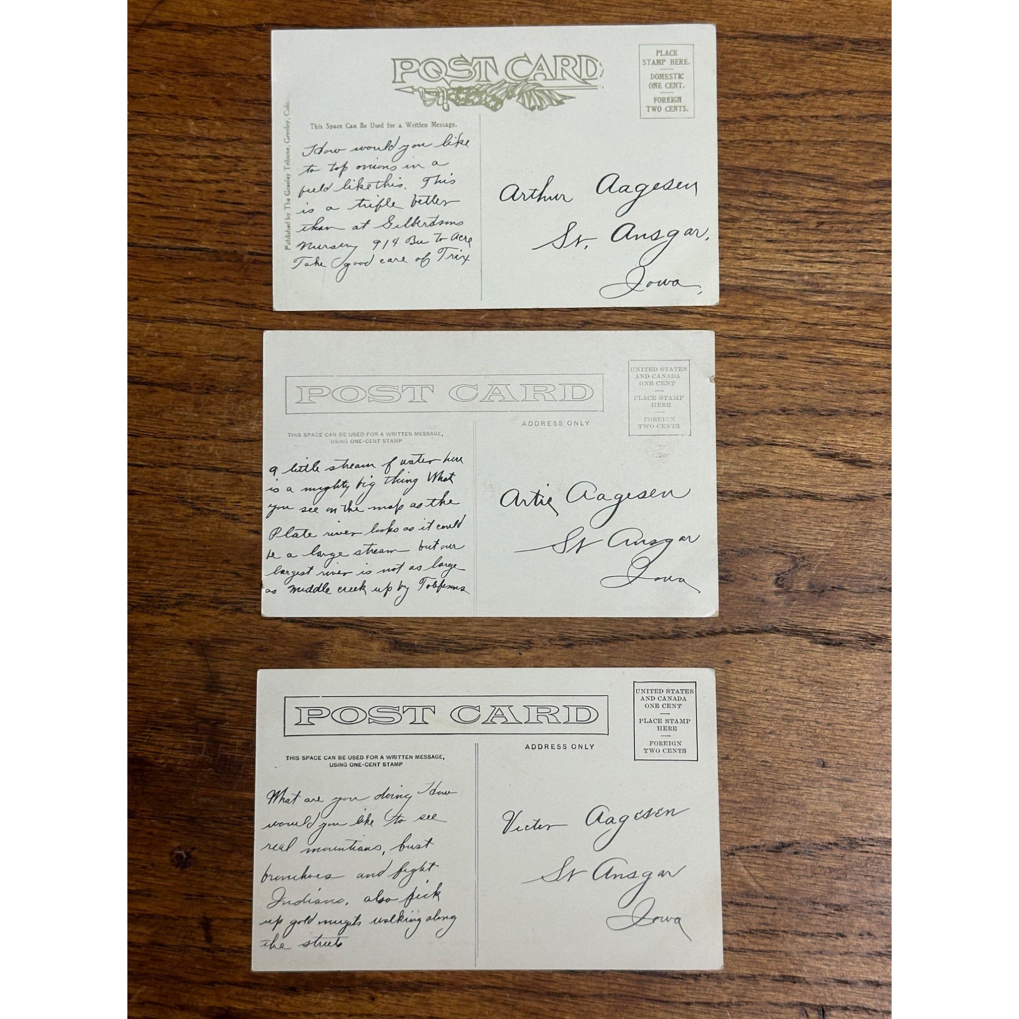 Greeley CO Colorado RPPC Postcards Lot (3) Potato Onion Farming Harvest
