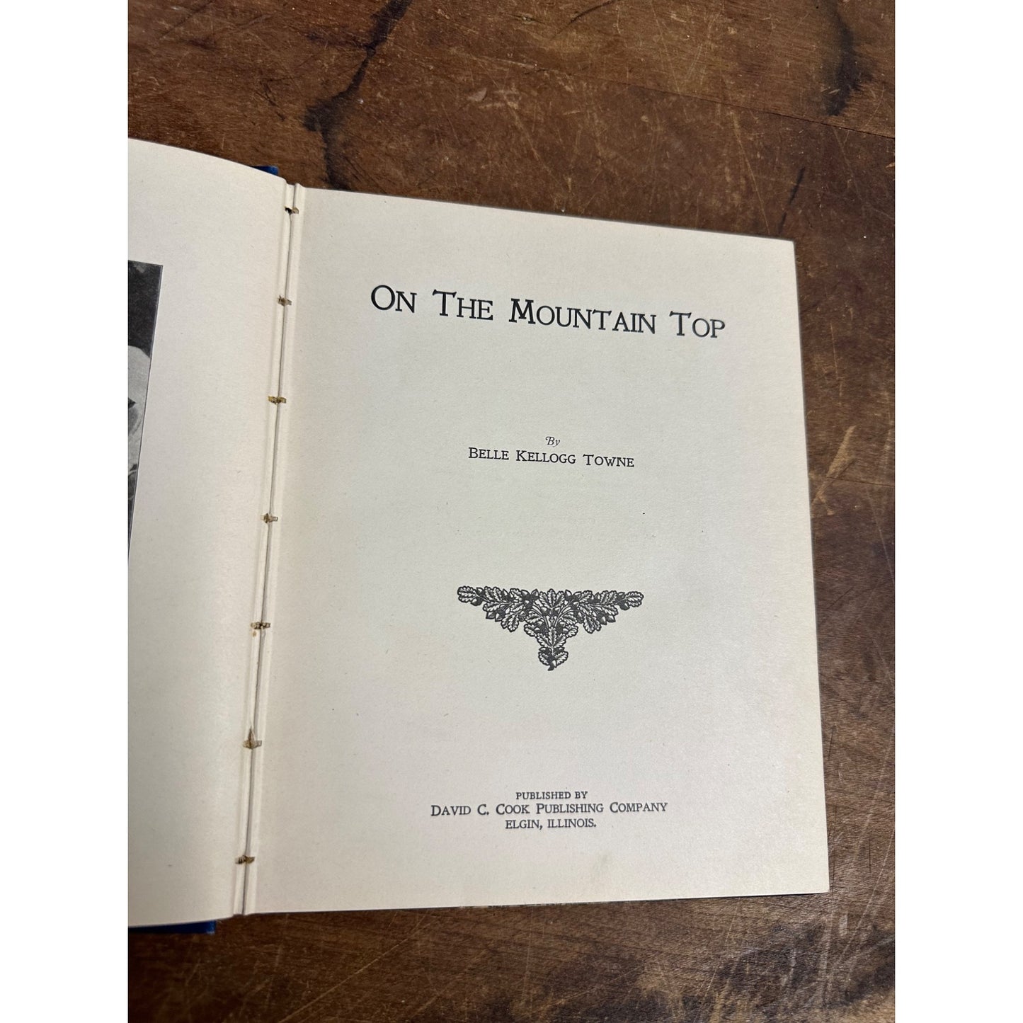 Vintage 1904 "On the Mountain Top" Hardcover Novel Book - Belle Kellogg Towne