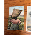 Vintage Black Americana Postcards & Black Doll Paperdolls Unused Book (1991)