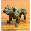 EXCEPTIONAL Antique Bronze Cold-Painted Bulldog Figure Bull Dog Austrian 4.5"