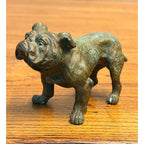 EXCEPTIONAL Antique Bronze Cold-Painted Bulldog Figure Bull Dog Austrian 4.5"