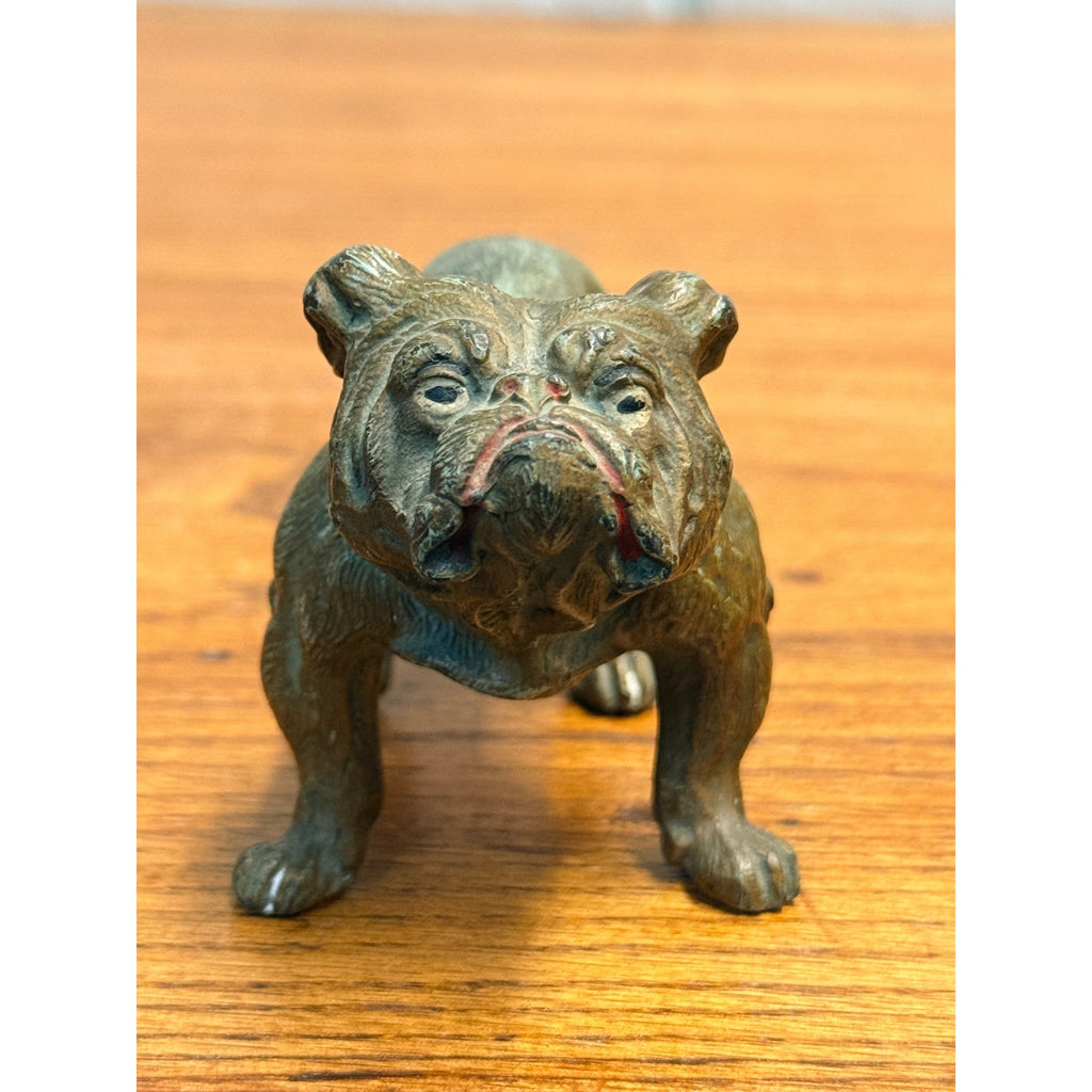 EXCEPTIONAL Antique Bronze Cold-Painted Bulldog Figure Bull Dog Austrian 4.5"