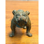 EXCEPTIONAL Antique Bronze Cold-Painted Bulldog Figure Bull Dog Austrian 4.5"