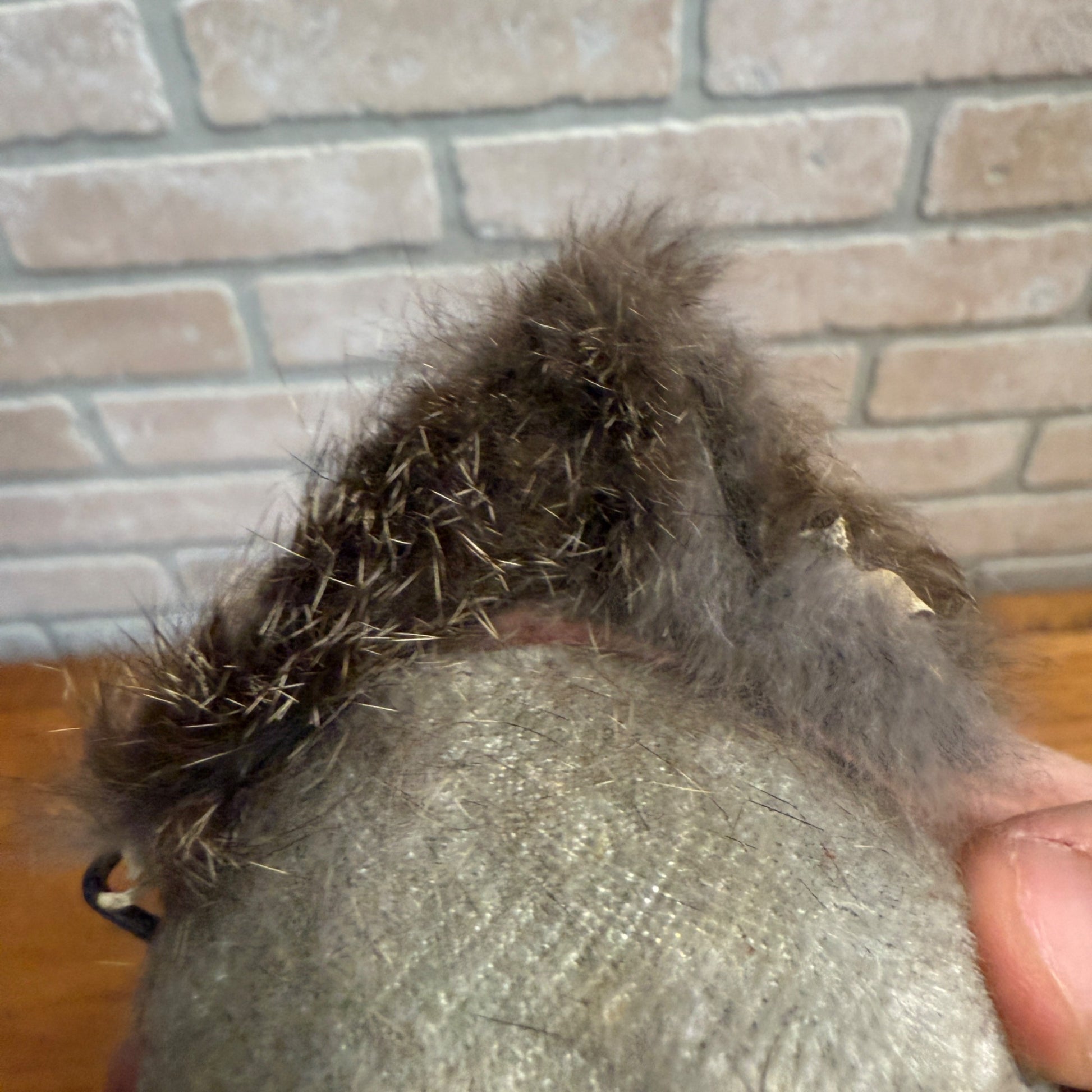 Vintage Alps Mechanical Windup Toy Busy Squirrel with Box Japan