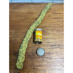 Vintage Plantation Salted Mixed Nuts Tin Spring Snake Novelty Gag Gift Joke