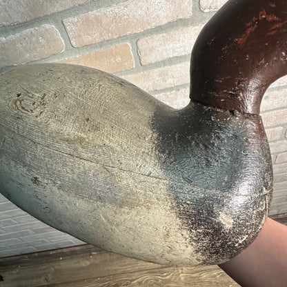 Antique Original Paint Evans Wooden Duck Decoy Mammoth Canvasback Drake