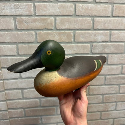 Antique Mason Painted Eye Shovler Duck Decoy Professionally Restored Repainted