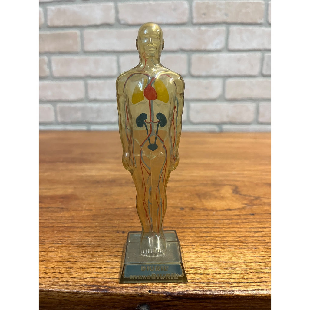 Vintage 1950s Hydro Diuril Merck Sharp Dohme Pharmaceutical Advertising Figure