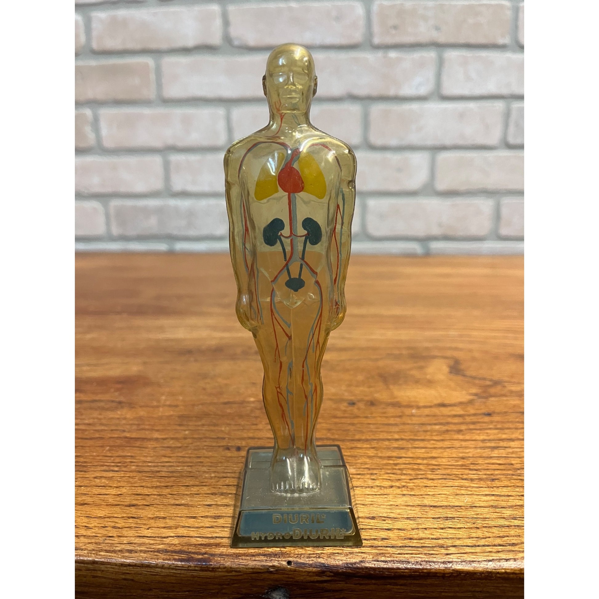 Vintage 1950s Hydro Diuril Merck Sharp Dohme Pharmaceutical Advertising Figure