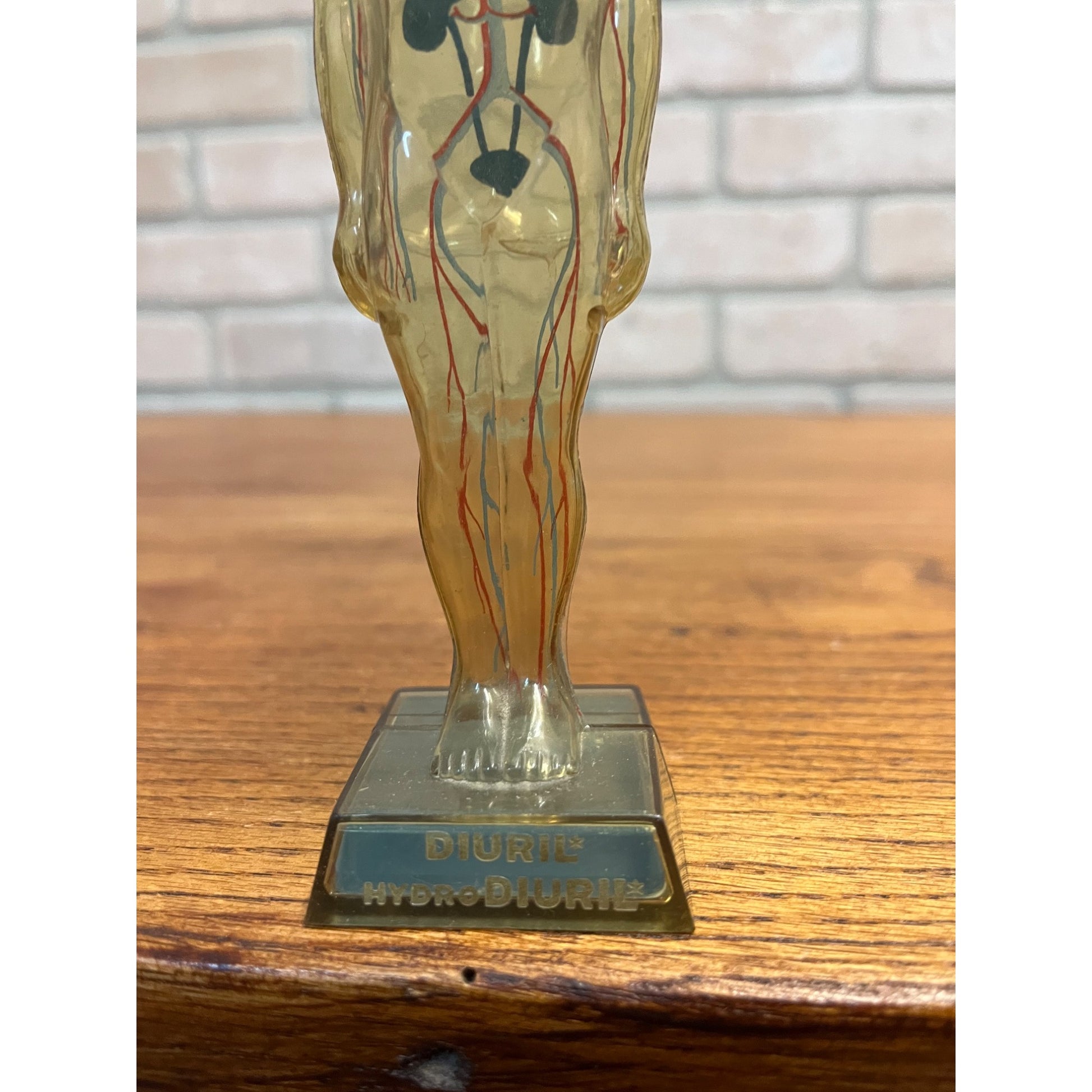 Vintage 1950s Hydro Diuril Merck Sharp Dohme Pharmaceutical Advertising Figure