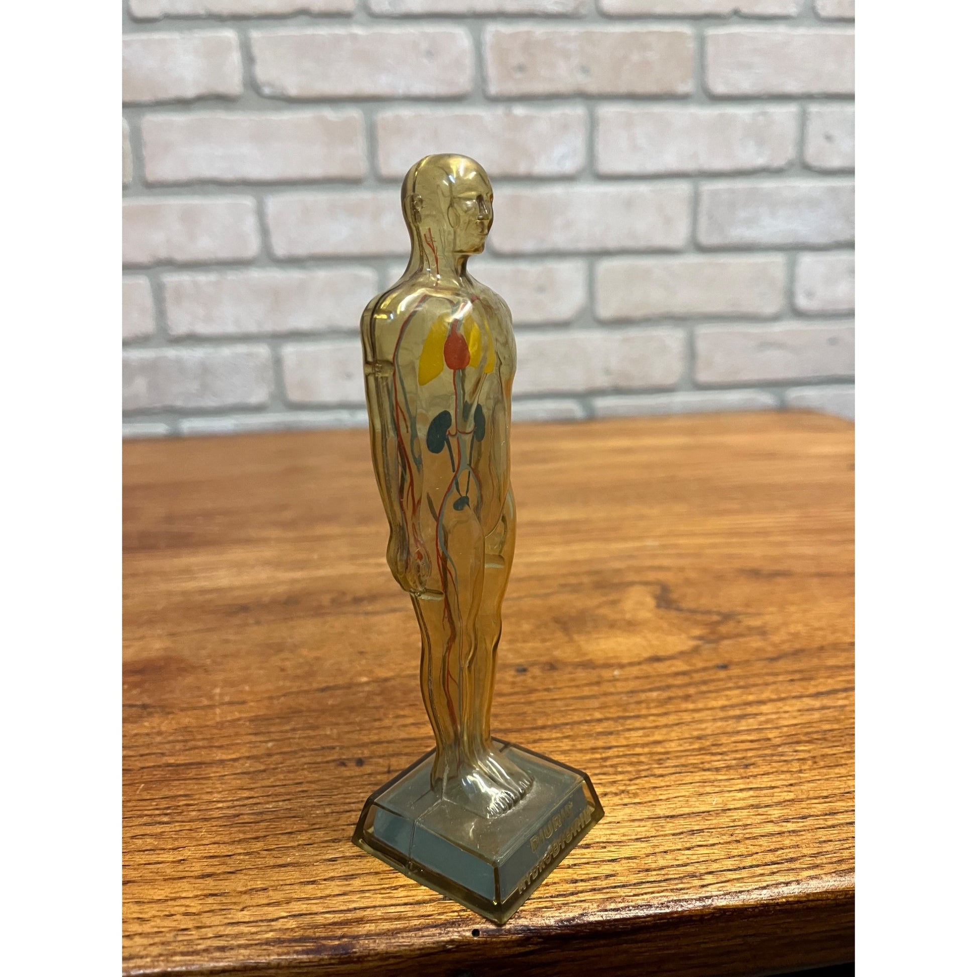 Vintage 1950s Hydro Diuril Merck Sharp Dohme Pharmaceutical Advertising Figure