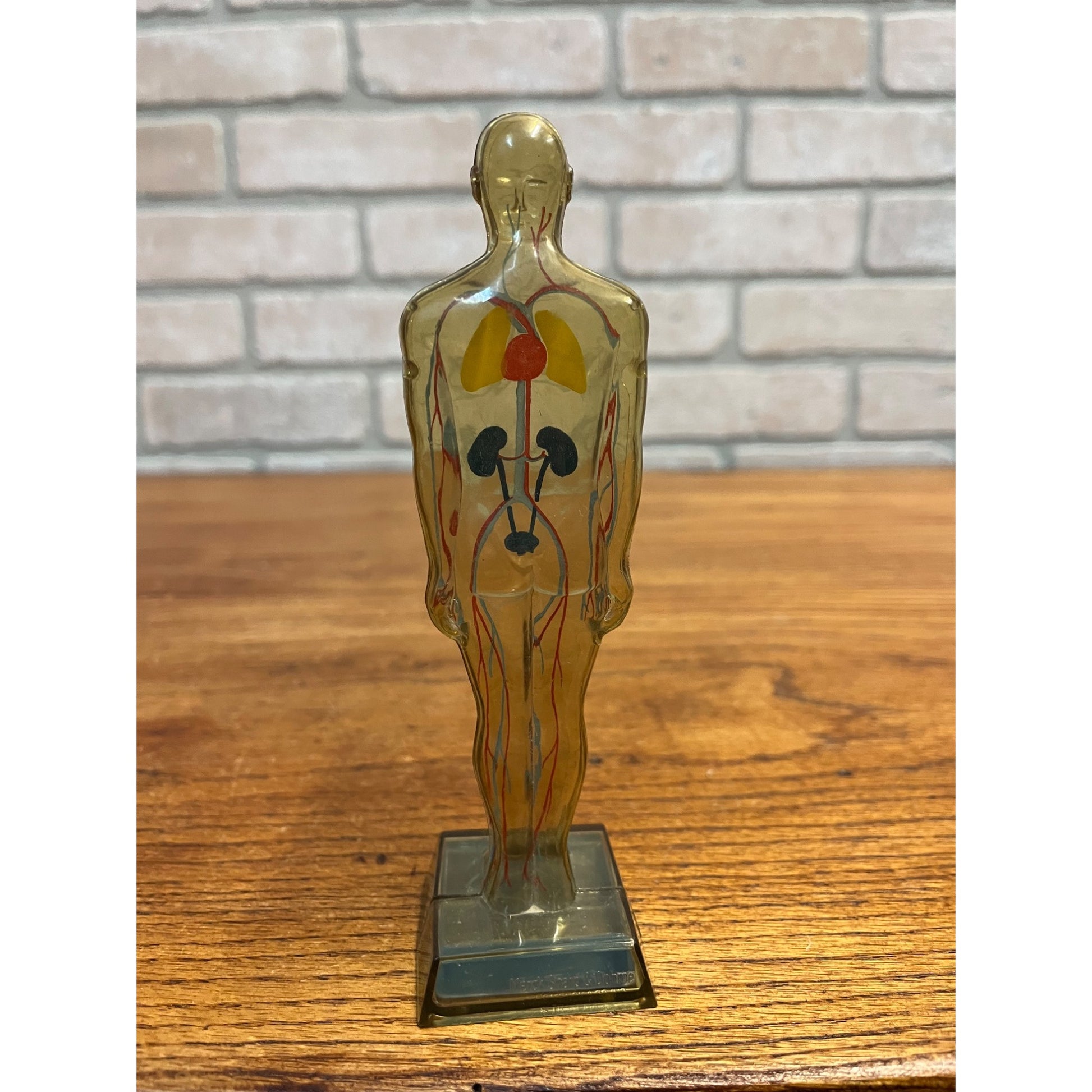 Vintage 1950s Hydro Diuril Merck Sharp Dohme Pharmaceutical Advertising Figure