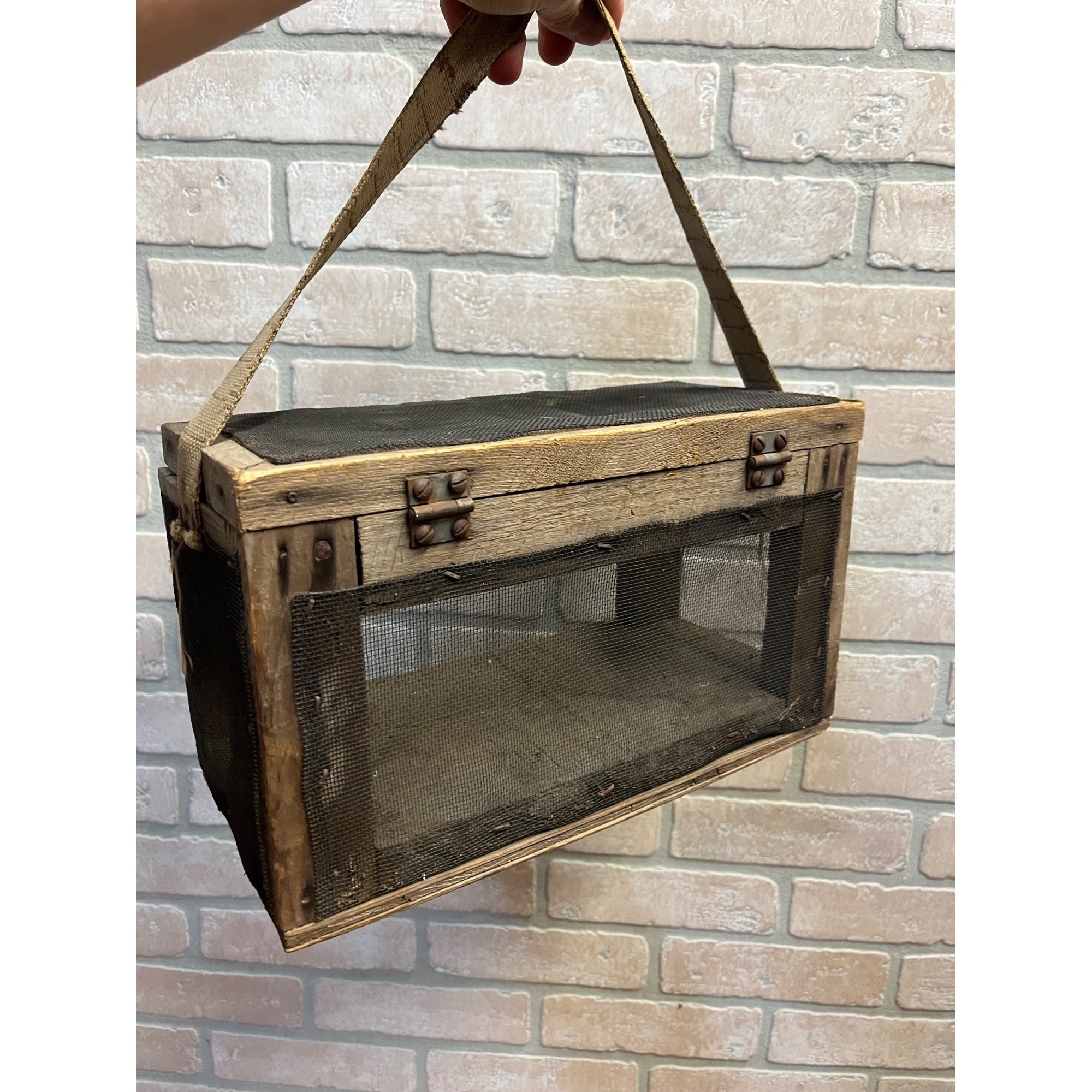 Antique Wooden Cricket Fishing Bait Box Wire Screen Carrier Primitive Cage Handmade 1920s Cabin Decor