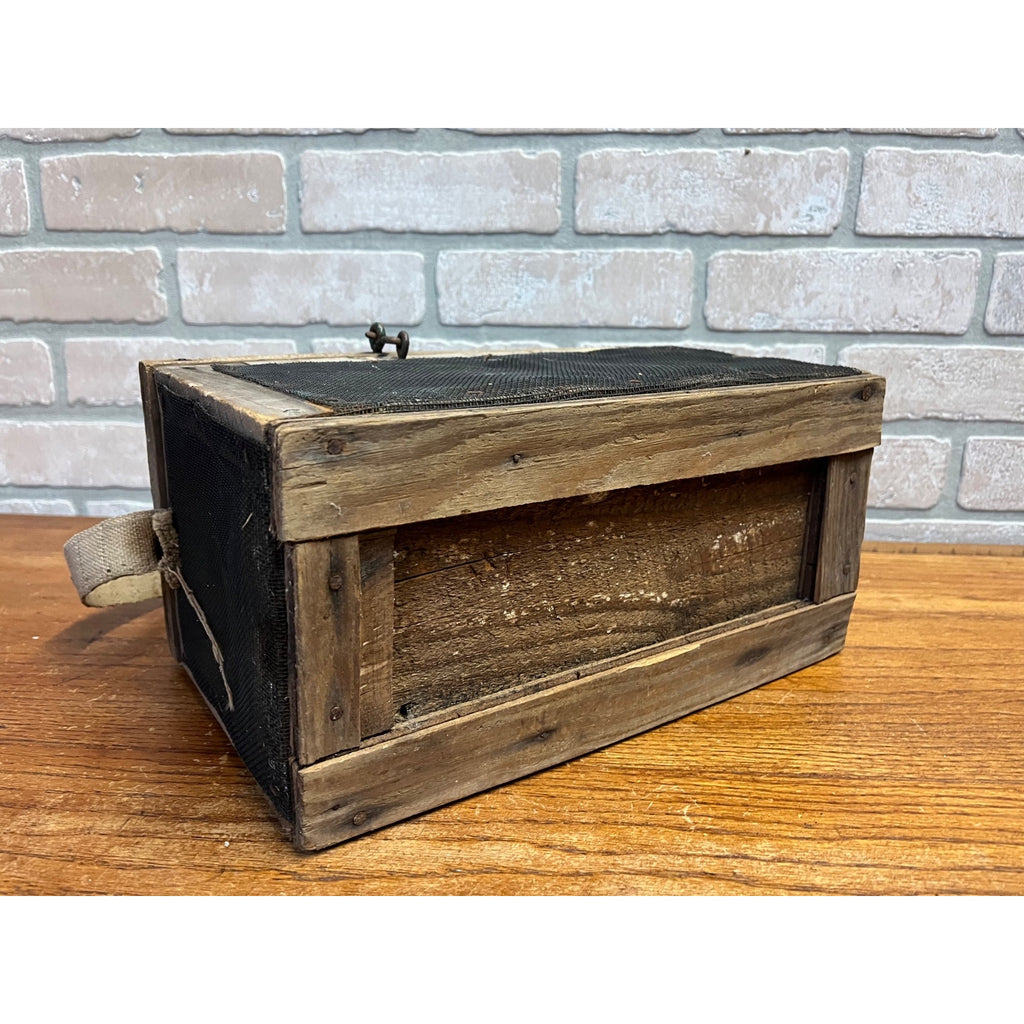 Antique Wooden Cricket Fishing Bait Box Wire Screen Carrier Primitive Cage Handmade 1920s Cabin Decor