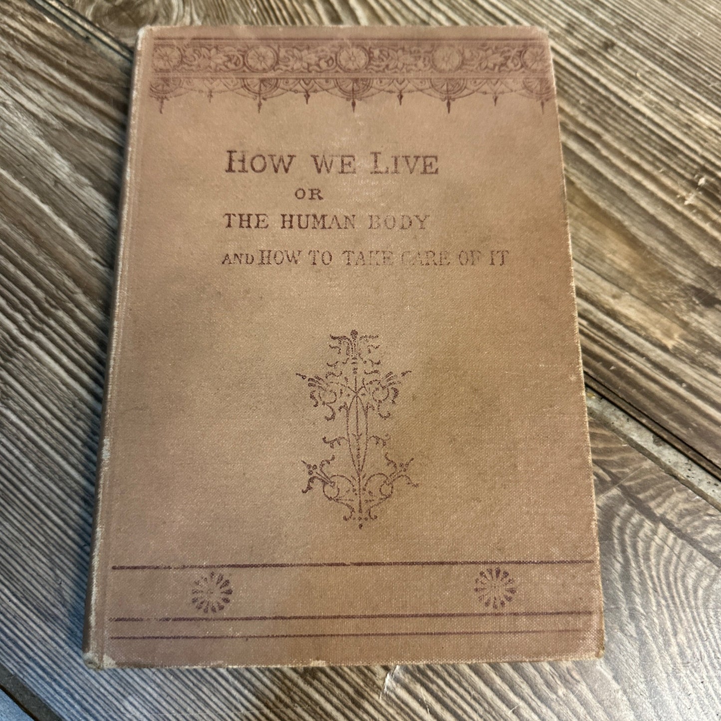 1888 HOW WE LIVE HUMAN ANATOMY BODY BOOK HOW TO TAKE CARE