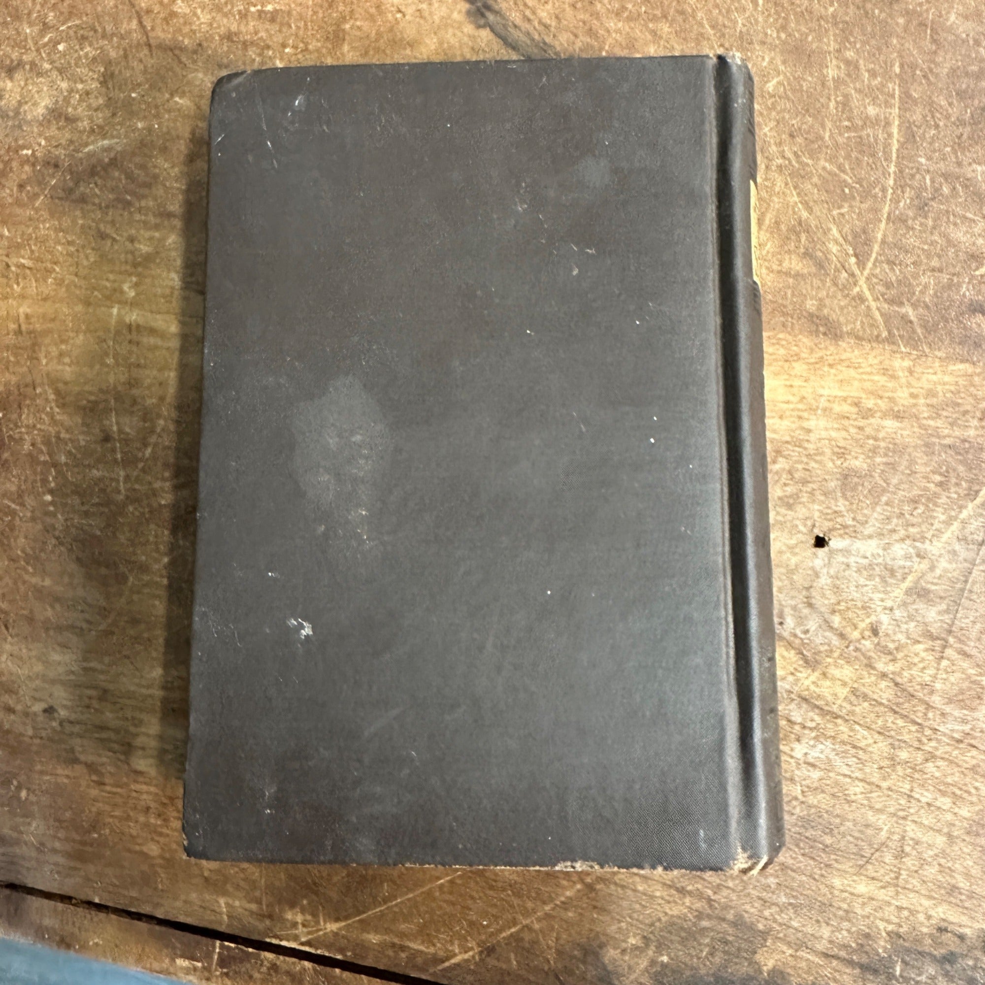 1883 Life of George Stephenson Railway Engineer  Samuel Smiles Self Help Series