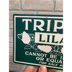 Original c1900s Tripoli Lilac Hanging Advertising Sign Pharmacy Drug Store