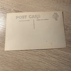 RPPC Postcard Women Wisconsin Farming Collecting Hay Farm Wagon