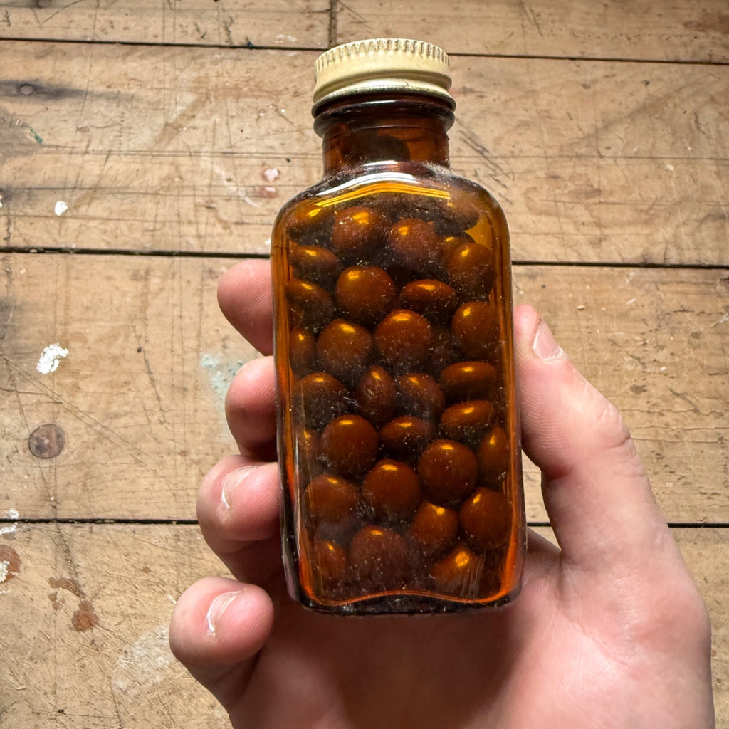 Vintage Warner Asafetida Tablets Drug Store Pharmacy Medicine Bottle FULL