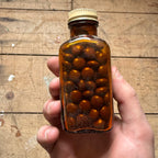 Vintage Warner Asafetida Tablets Drug Store Pharmacy Medicine Bottle FULL