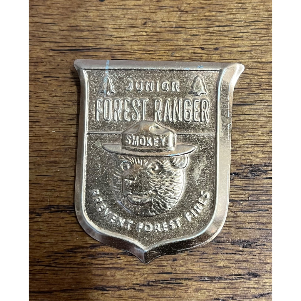 Vintage Metal Junior Forest Ranger Badge Pin Smokey the Bear