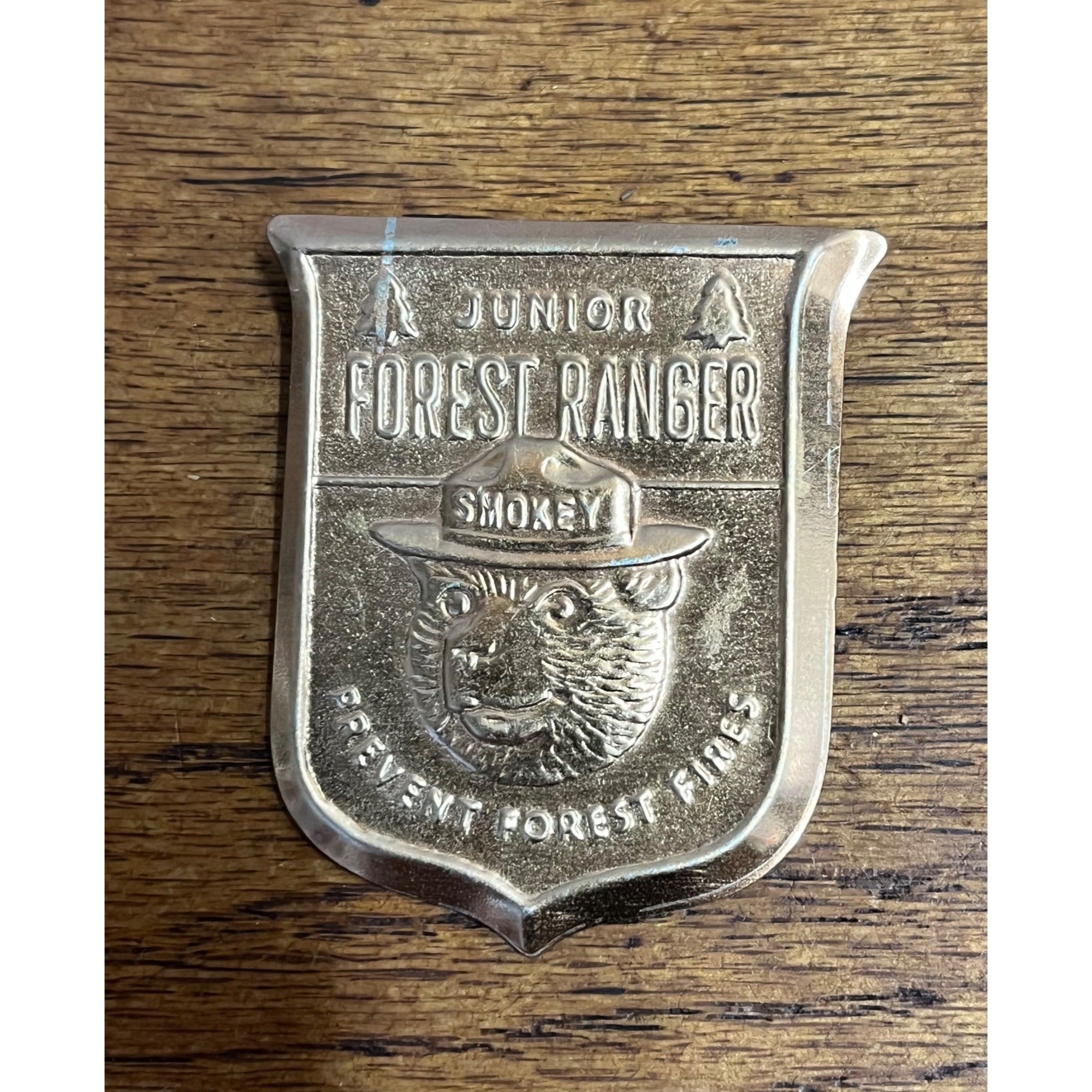 Vintage Metal Junior Forest Ranger Badge Pin Smokey the Bear