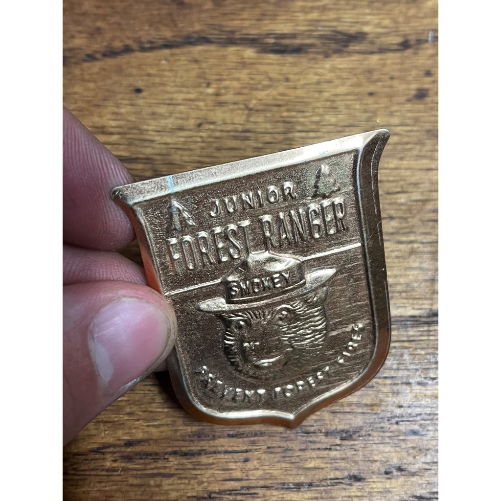 Vintage Metal Junior Forest Ranger Badge Pin Smokey the Bear
