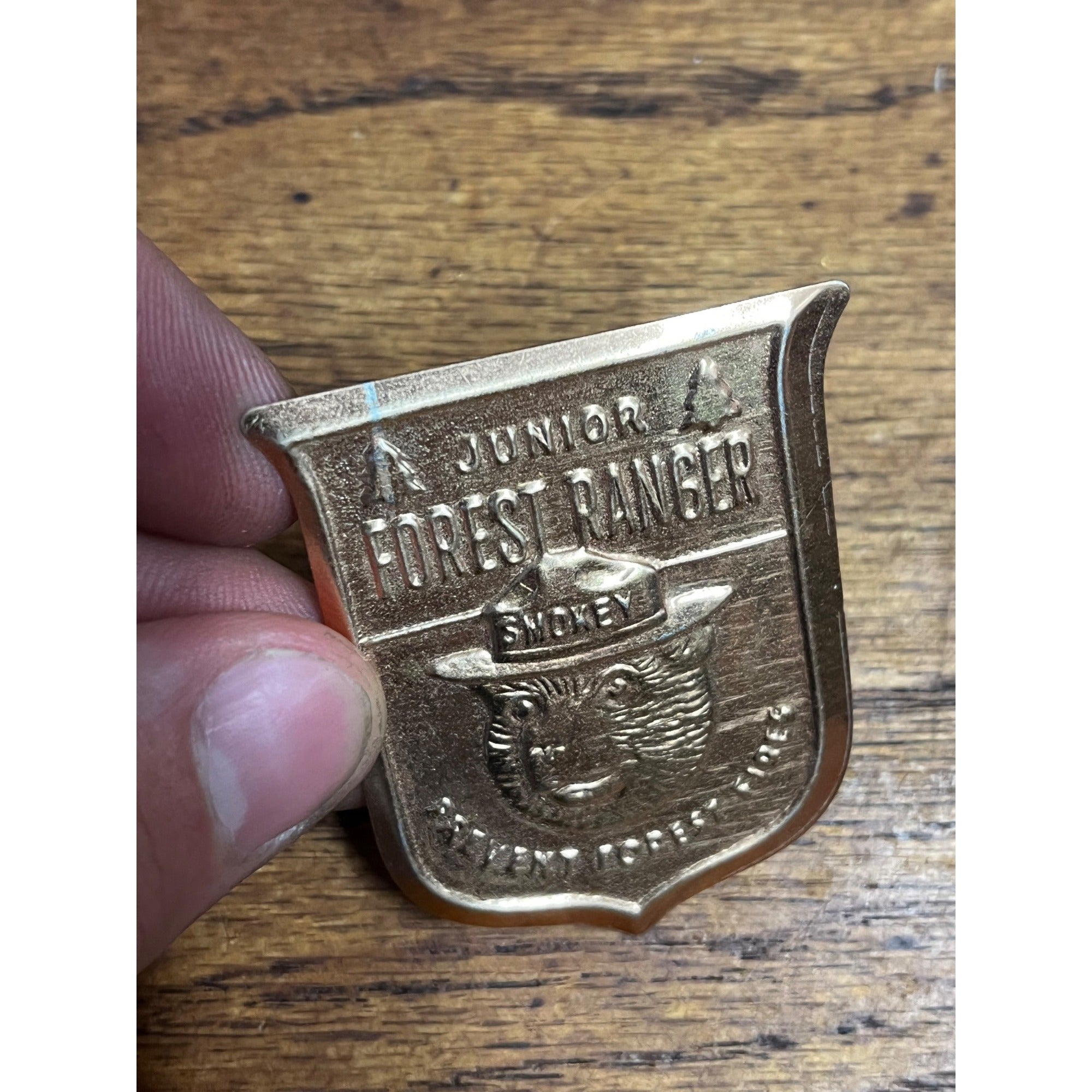 Vintage Metal Junior Forest Ranger Badge Pin Smokey the Bear