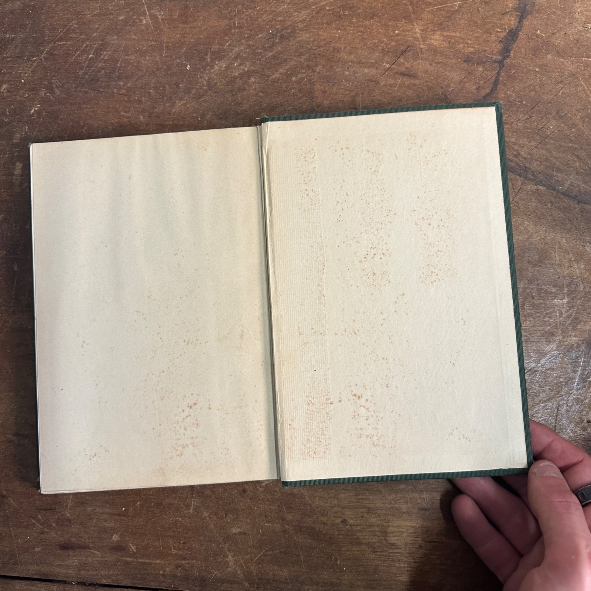 1905 ANTIQUE POETRY BOOK "LOVE-LYRICS" JAMES WHITCOMB RILEY POETICAL
