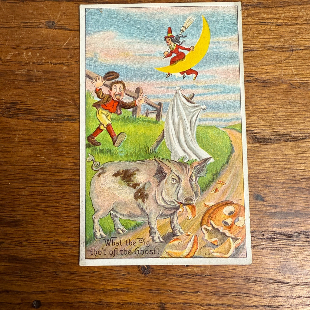 Vintage Julius Bien Halloween Postcard "What the Pig tho't of the Ghost"