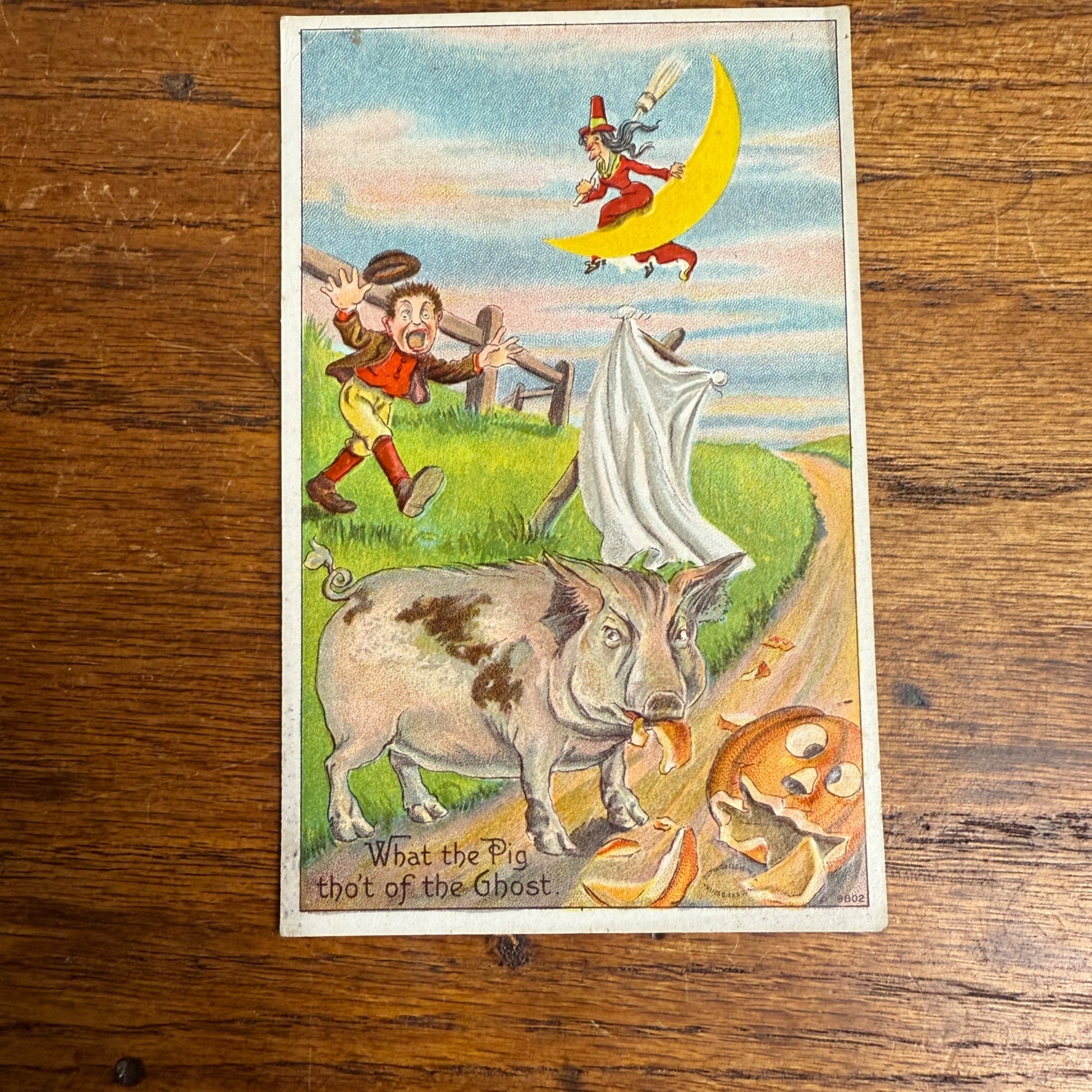 Vintage Julius Bien Halloween Postcard "What the Pig tho't of the Ghost"