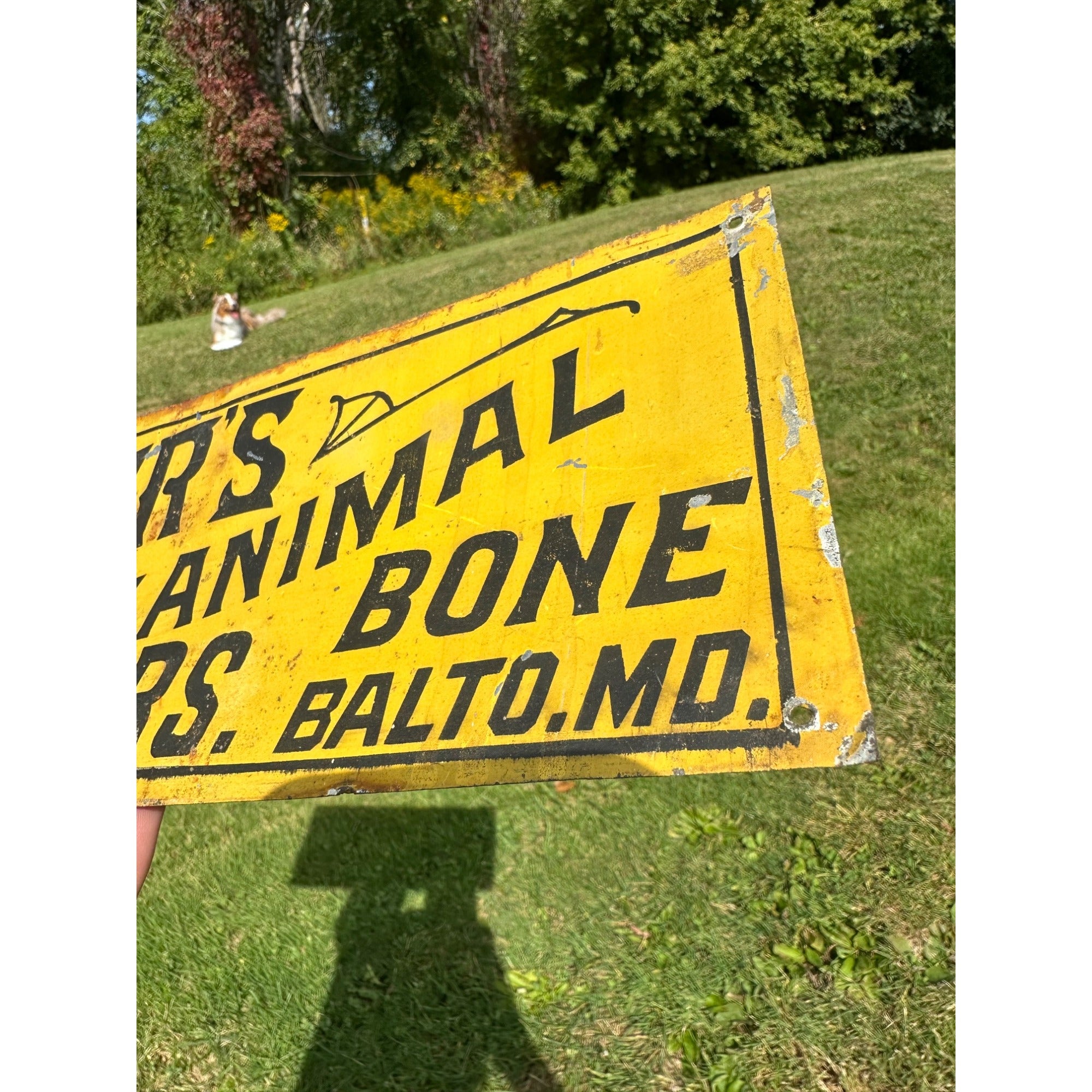 RARE Antique 1890s Horner's Animal Bone Fertilizers Farm Dairy Advertising Sign