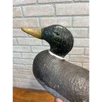 Vintage Rough Grade Animal Trap Co.? Duck Decoy Mallard Repainted