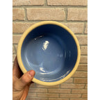 Red Wing Primitive Blue Cactus Pattern Bowl /Stoneware / Farmhouse / Kitchen Decor