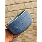 Red Wing Primitive Blue Cactus Pattern Bowl /Stoneware / Farmhouse / Kitchen Decor